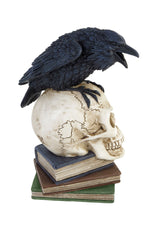 Poe's Raven Skull