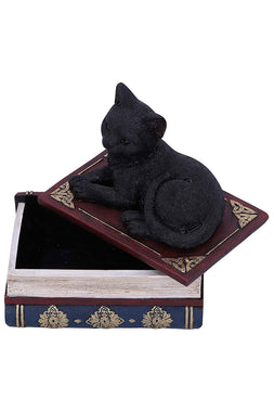 Black Cat Book Box