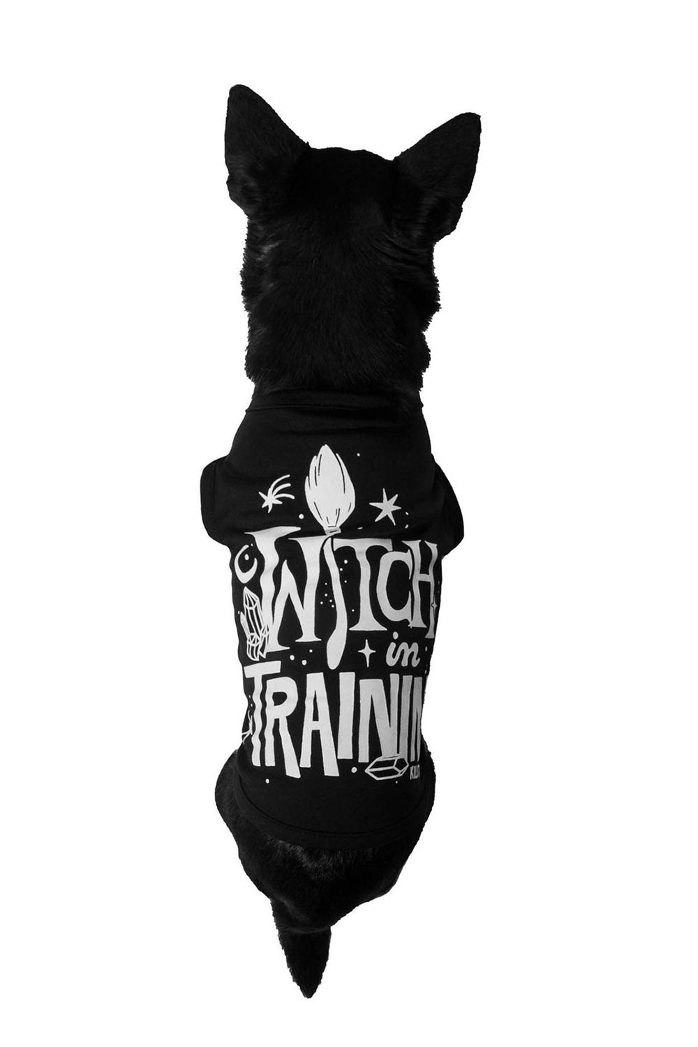 Witch In Training Pet Vest