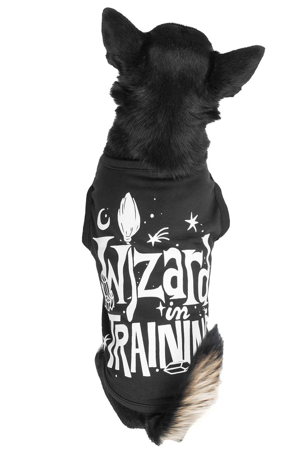 Wizard In Training Pet Vest