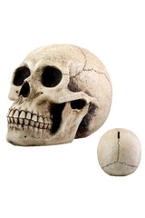 Skull Money Bank
