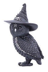 Owlocen Witch Owl Statue