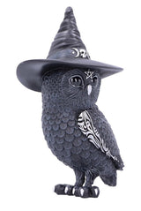 Owlocen Witch Owl Statue