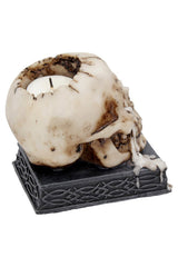 Tears of Time Wax Tears Tealight Holding Skull