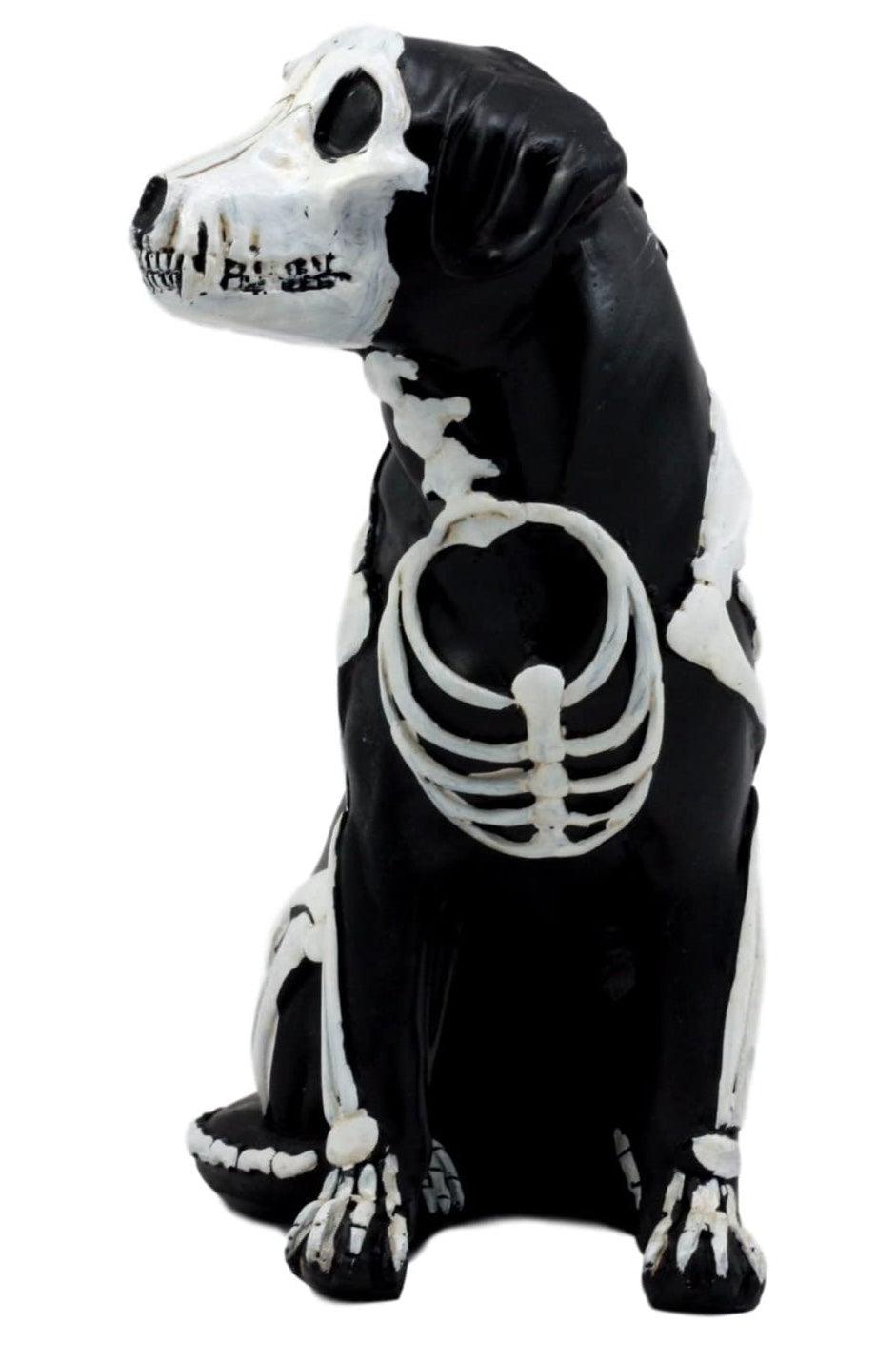 Pacific Giftware Day of the Dead Dog Sculpture - VampireFreaks