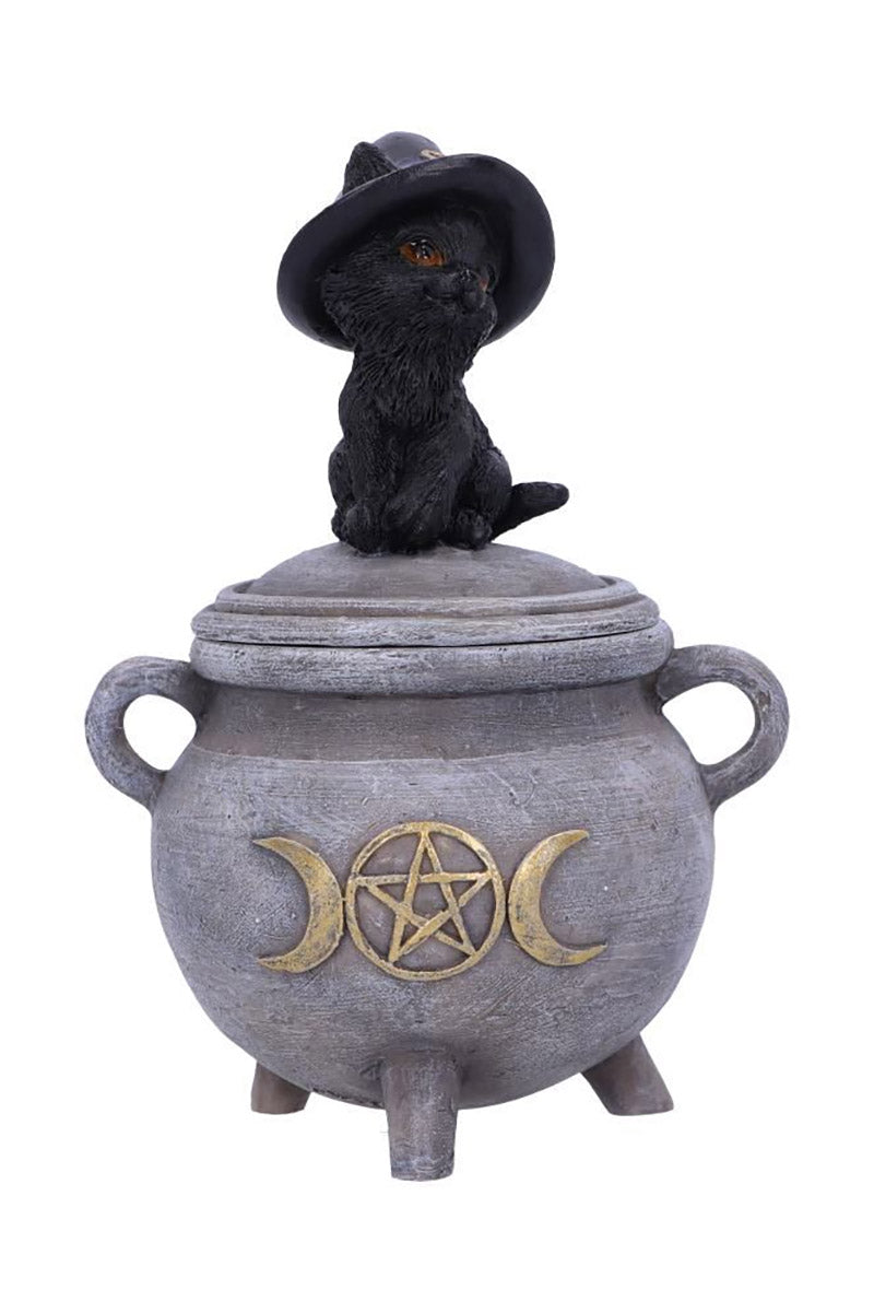 Black Cat Cauldron Box