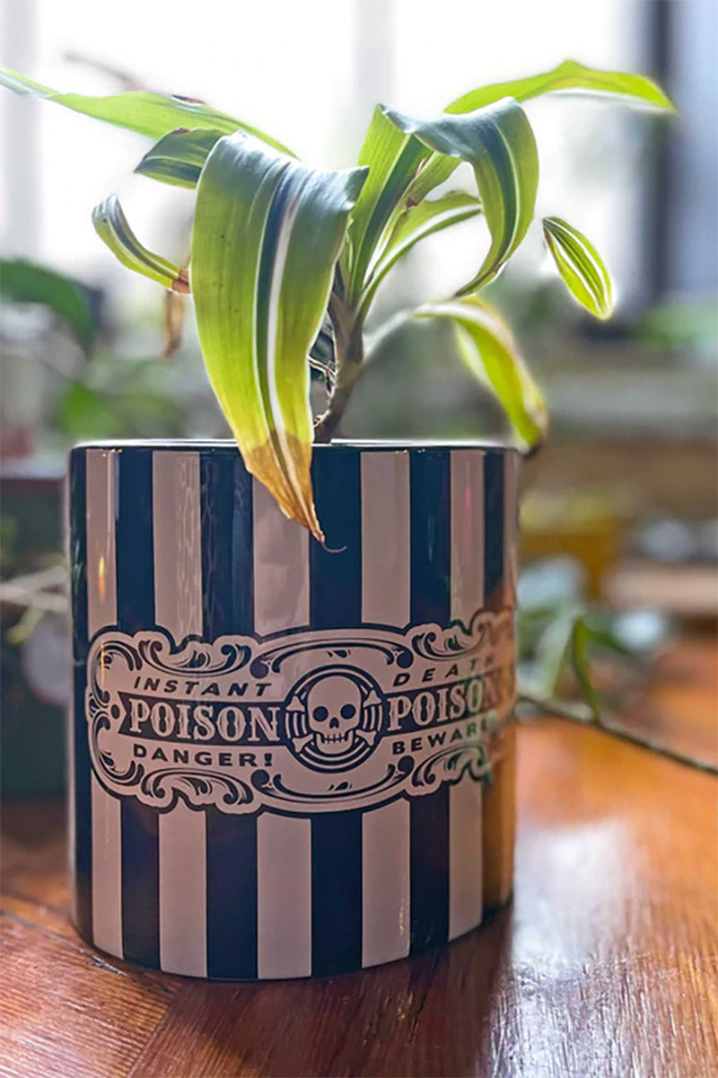 Poison Plant Container VampireFreaks   Ggtry6566u 800x 