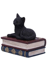 Salem Spells Black Cat Trinket Box