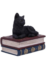 Salem Spells Black Cat Trinket Box