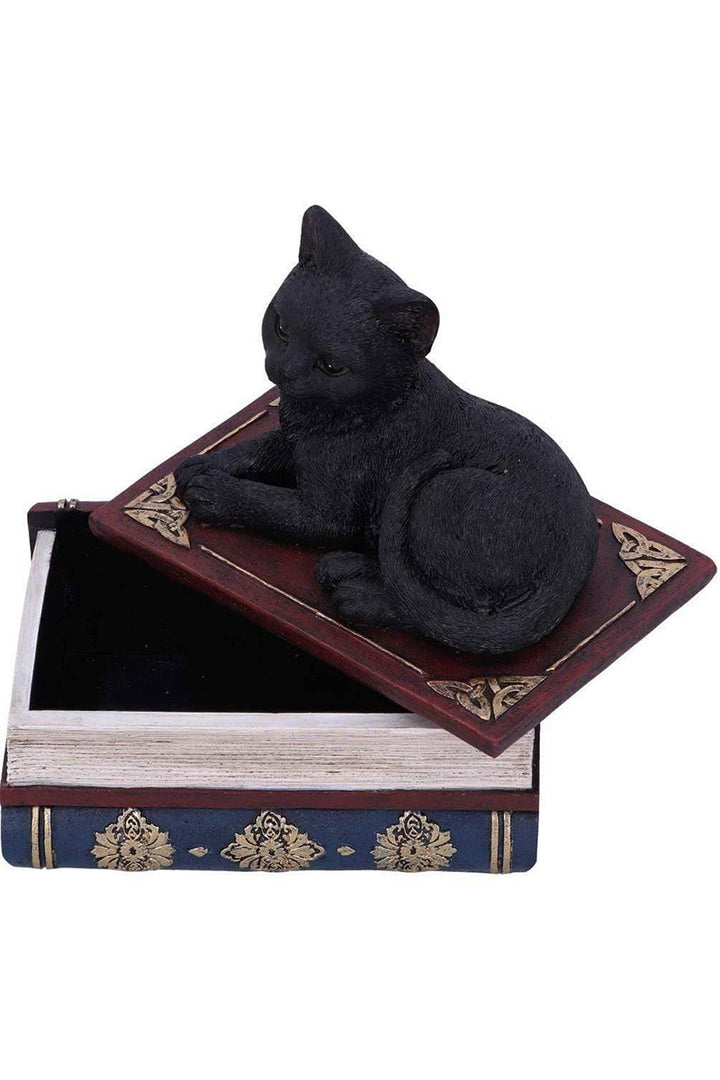 Salem Spells Black Cat Trinket Box
