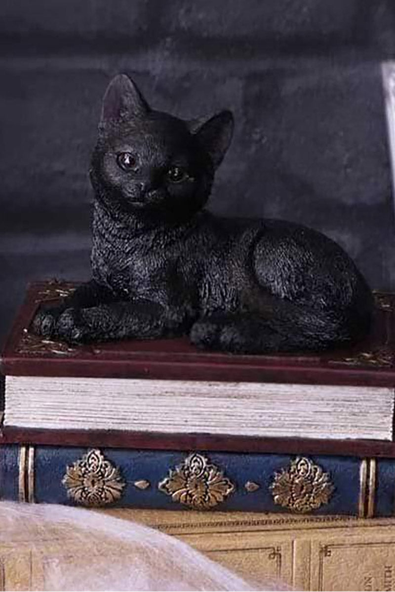 Salem Spells Black Cat Trinket Box