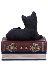 Salem Spells Black Cat Trinket Box
