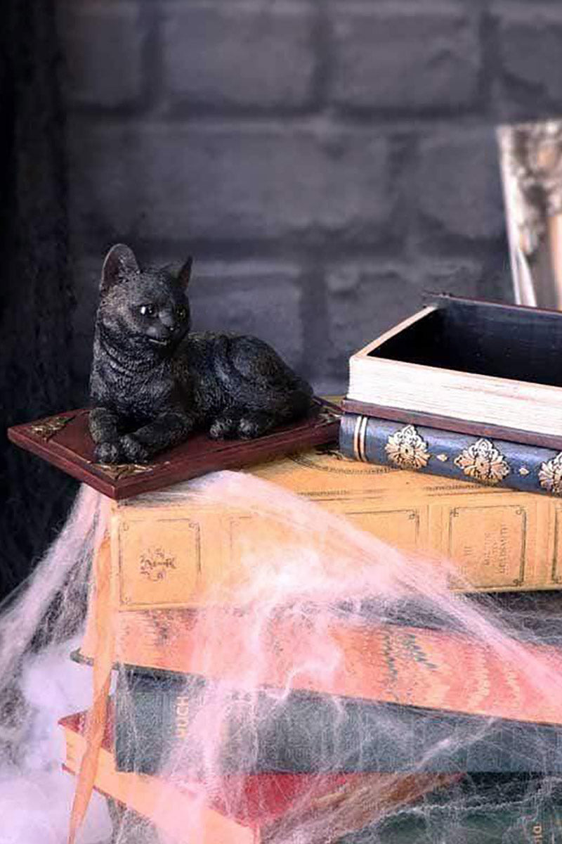 Salem Spells Black Cat Trinket Box