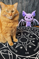 Stellar Area Rug