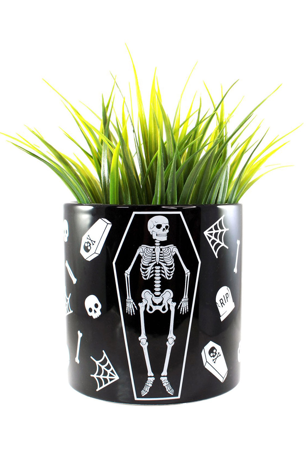 Skeleton Plant Container
