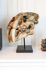 Sabertooth Skull Replica [Large]