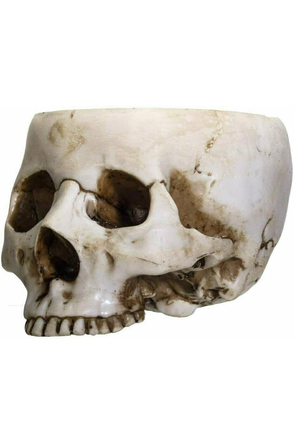 Skull Bowl