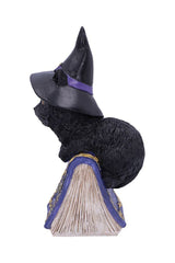 Pocus Black Cat Witch and Spellbook Figurine