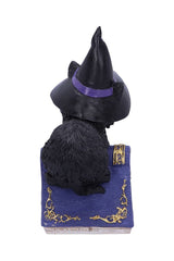 Pocus Black Cat Witch and Spellbook Figurine