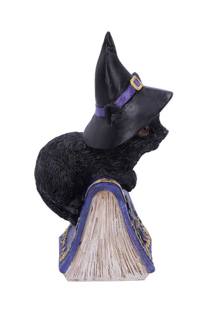 Pocus Black Cat Witch and Spellbook Figurine