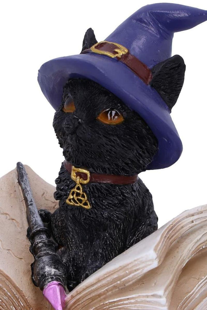 Nemesis Now Binx Witchy Black Cat with Spellbook Trinket Box - VampireFreaks