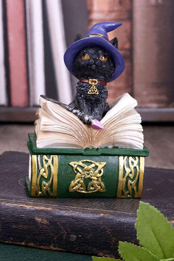 Binx Witchy Black Cat with Spellbook Trinket Box