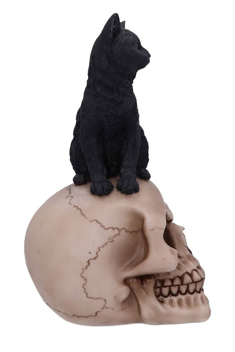 Familiar Fate Black Witches Cat and Skull Figurine