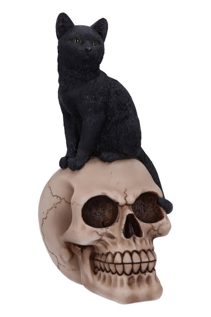 Familiar Fate Black Witches Cat and Skull Figurine