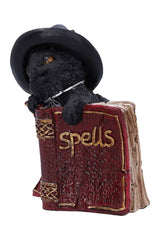 Kitty's Grimoire Spellbook Statue