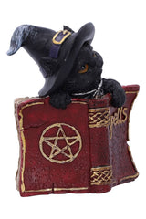 Kitty's Grimoire Spellbook Statue
