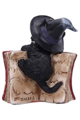Kitty's Grimoire Spellbook Statue