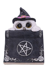 Owl's Spell Statue