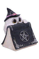 Owl's Spell Statue