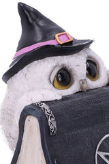 Owl's Spell Statue