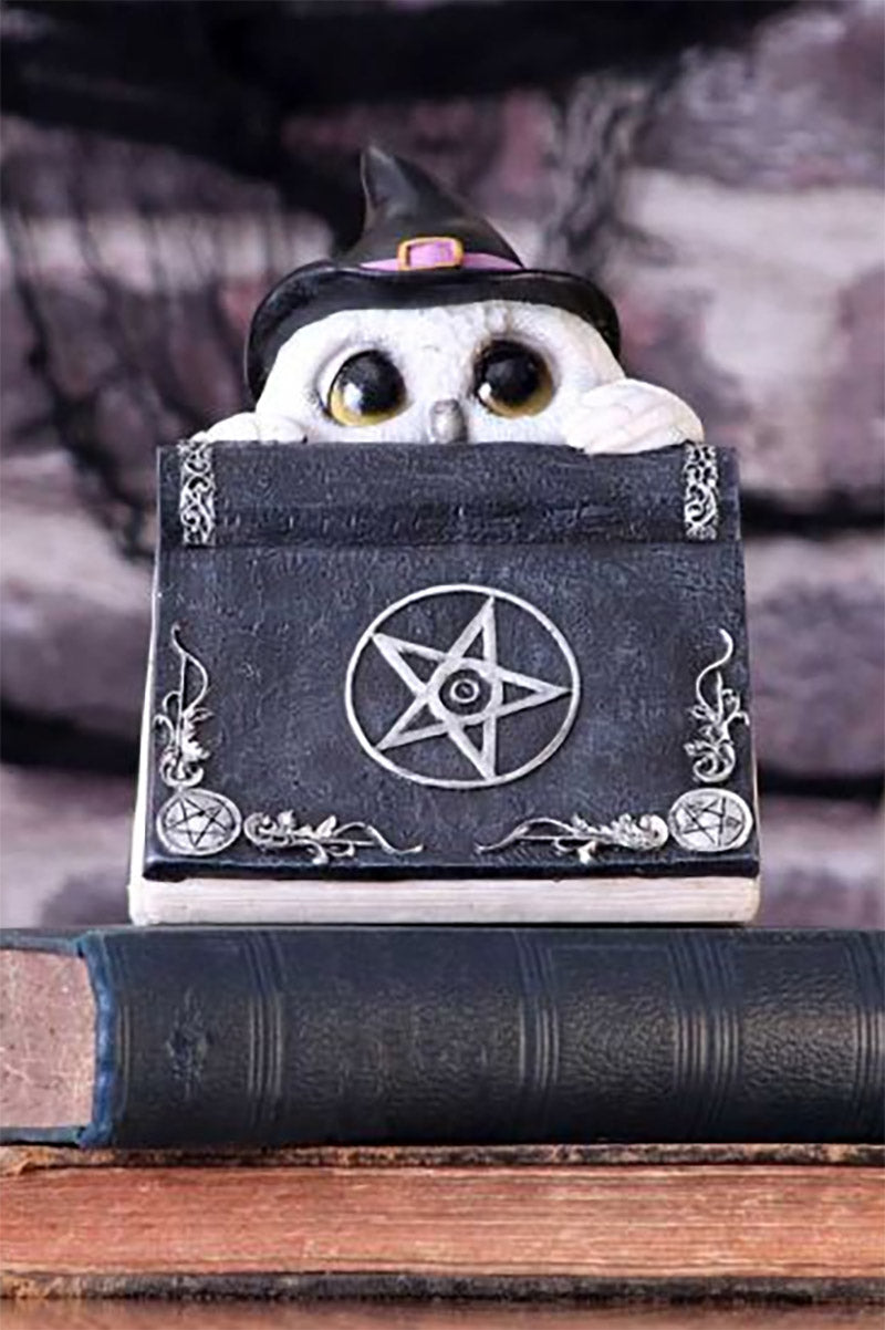 Owl's Spell Statue
