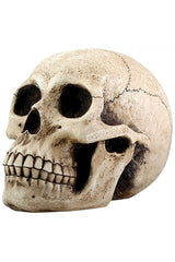 Skull Money Bank